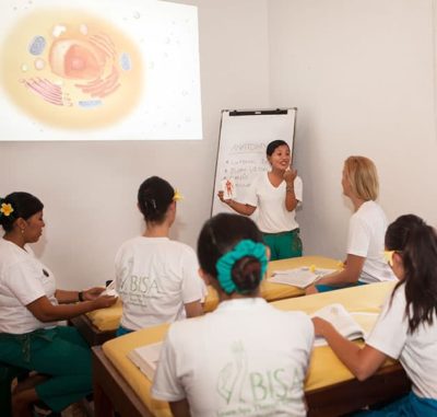VTCT Anatomy & Physiology course at Bali centre, learn about skin, nails and hair & the skeletal, muscular, nervous, cardiovascular & other body systems.