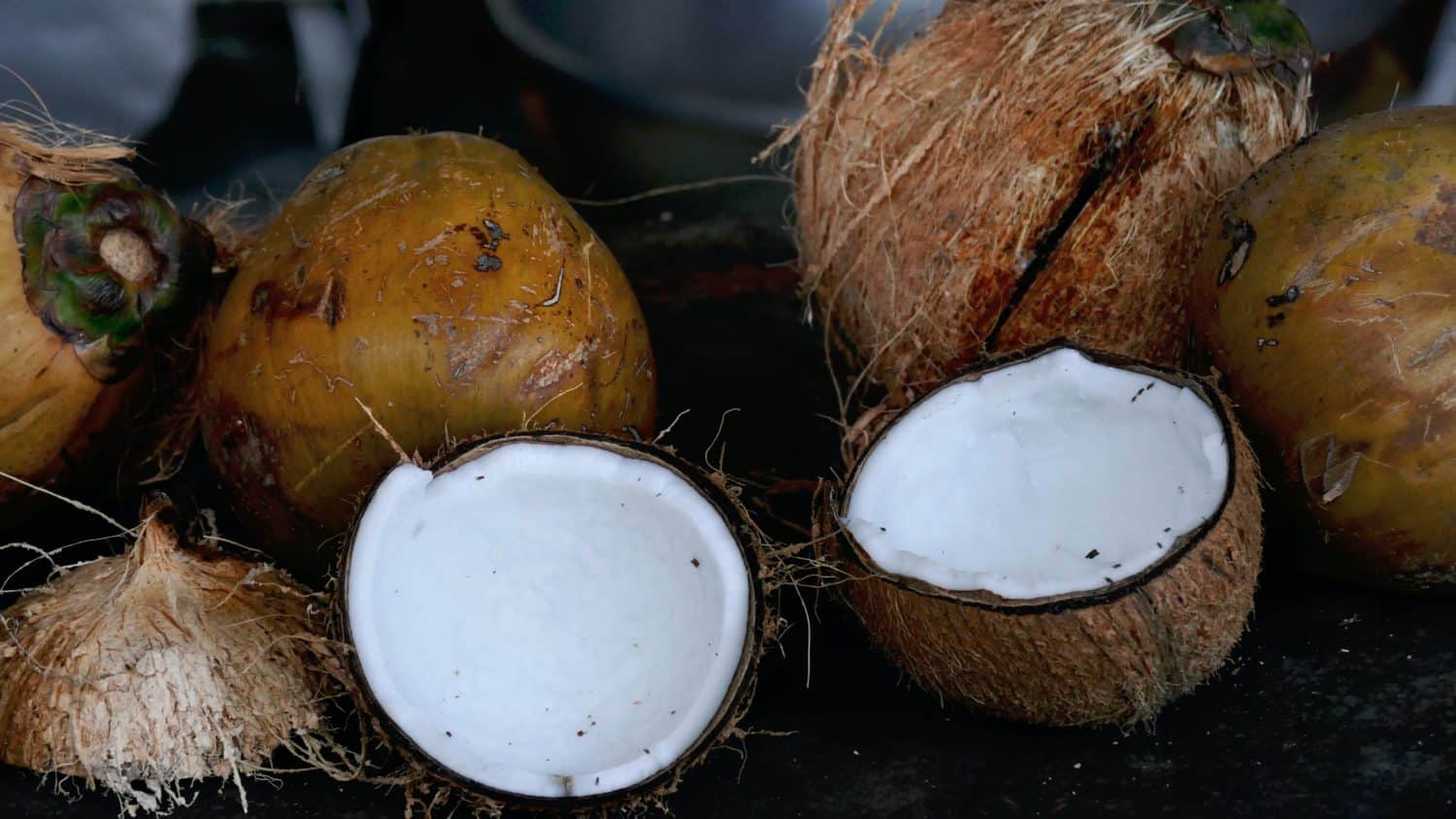 Virgin Coconut Oil to RBD: The Making of Coconut Oil - Bali BISA